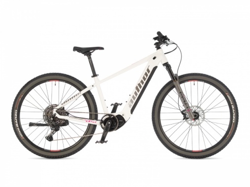 Elevation 29 ASL 2025 AUTHOR