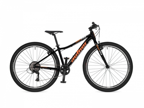 Limit 27,5 2026 AUTHOR