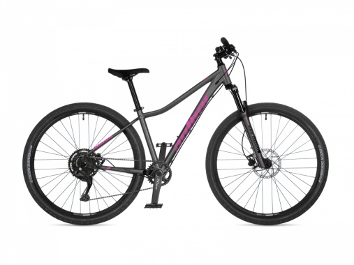 Solution 29 ASL 2026 AUTHOR