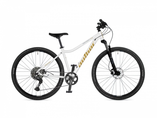 Mission ASL 2026 AUTHOR